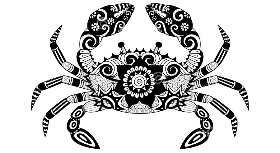 少兒美術(shù)參考課例|線描裝飾畫螃蟹