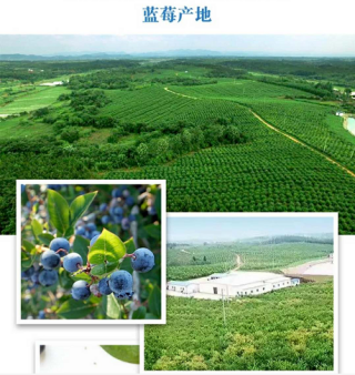 鄂州梁子湖白龍有機(jī)農(nóng)業(yè)科技開發(fā)企業(yè)簡(jiǎn)介