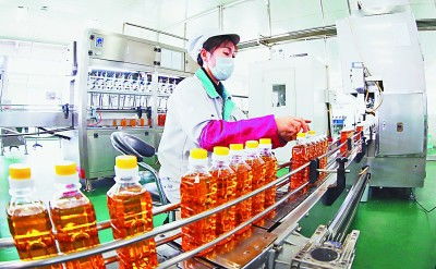 吉林 厚植黑土優勢，賦能農業升級，擘畫現代農業新藍圖